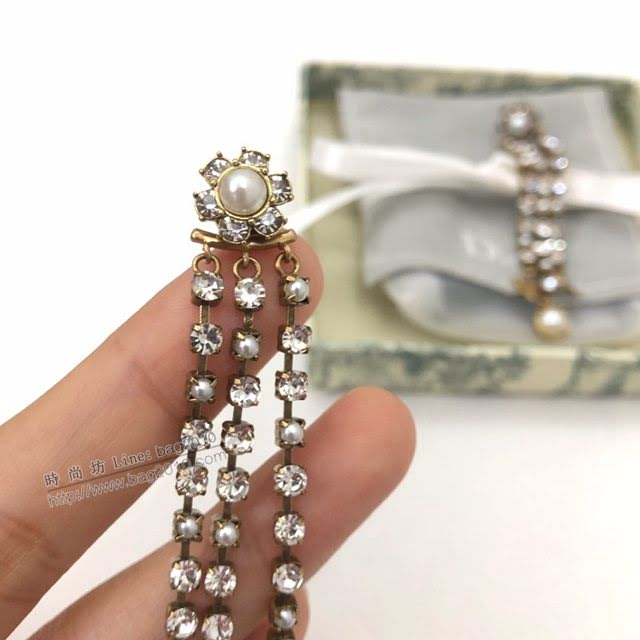Dior飾品 迪奧經典熱銷款耳釘 Dior流蘇長款耳環  zgd1125
